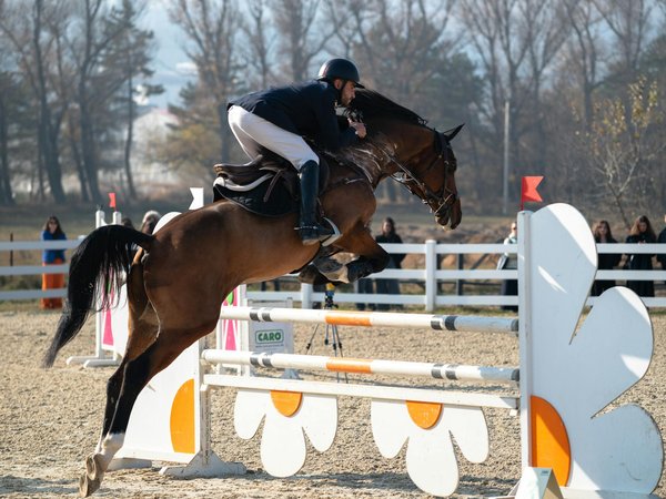 Ultimate guide to selecting top-quality protective gear for competitive skateboarding